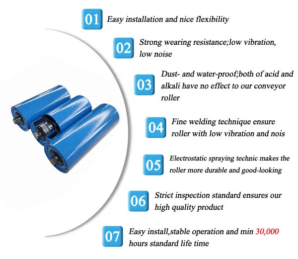UHMWPE Roller features